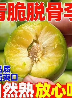 四川贵州产地直发酸甜口感新鲜5