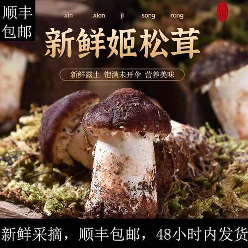 顺丰包邮新鲜姬松茸 云南菌特产赤松茸山珍人工深山采摘巴西蘑菇