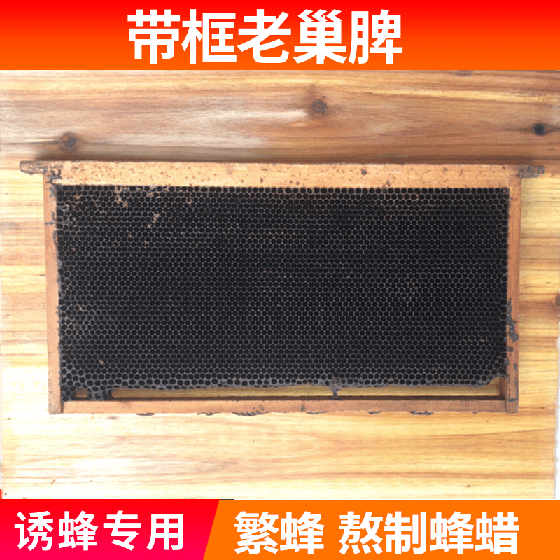 老脾蜂蜡老蜂巢脾诱蜂蜂蜡中蜂意蜂诱蜂腊诱蜜蜂【满2张】包邮