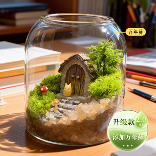 卡通精灵小屋苔藓植物装饰摆件微景观DIY手工新居布置创意礼品