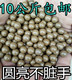 包邮 弹弓安全泥丸8mm毫米9 10mm弓粮超硬陶丸加硬泥丸黄色陶丸11