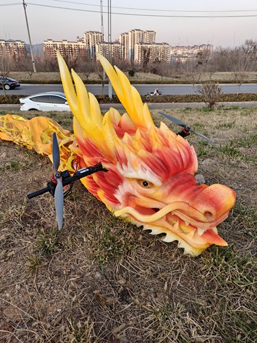 遥控飞龙双电机版飞天龙十米飞龙飞行表演用飞龙无人机起降容易