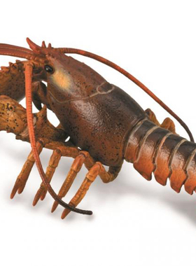 Collecta波士顿龙虾仿真海洋动物鲸鱼模型玩具88920