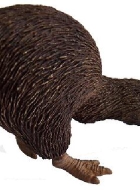 Animals of Australia 几维鸟仿真野生动物模型玩具 5,5 cm75340