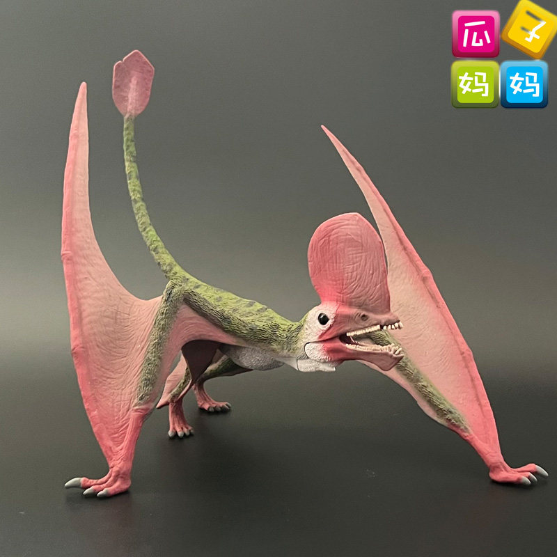 collecta我你他空枝翼龙仿真远古恐龙动物模型儿童认知玩具88886