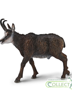 臆羚collecta我你他2025新品仿真草原动物模型玩具80045