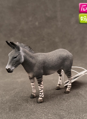 英国collecta我你他非洲野驴仿真草原动物模型儿童玩具88664