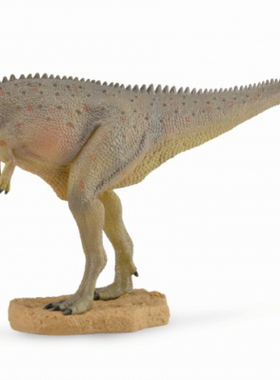 马普龙collects我你他仿真史前恐龙动物模型玩具88821