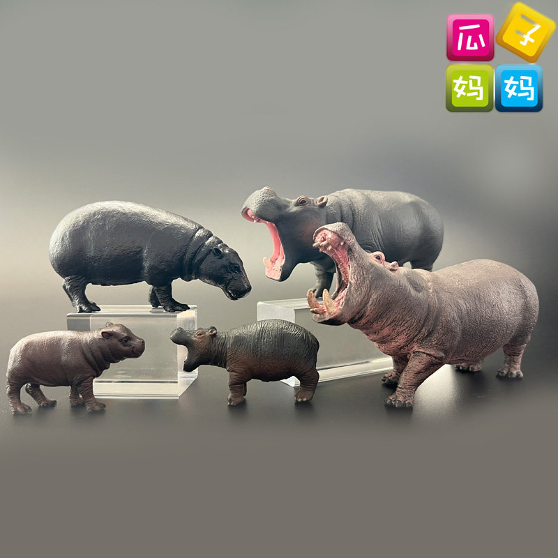 collecta我你他 河马倭河马仿真丛林动物模型儿童认知玩具88687