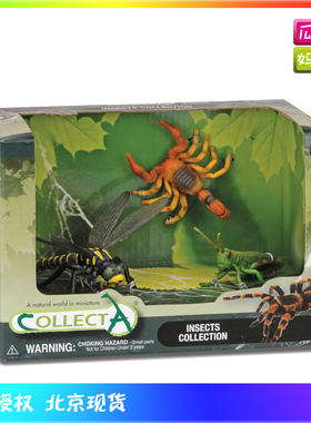 collecta我你他 蜻蜓 黄蝎子 草蜢仿真昆虫动物模型玩具礼盒89136