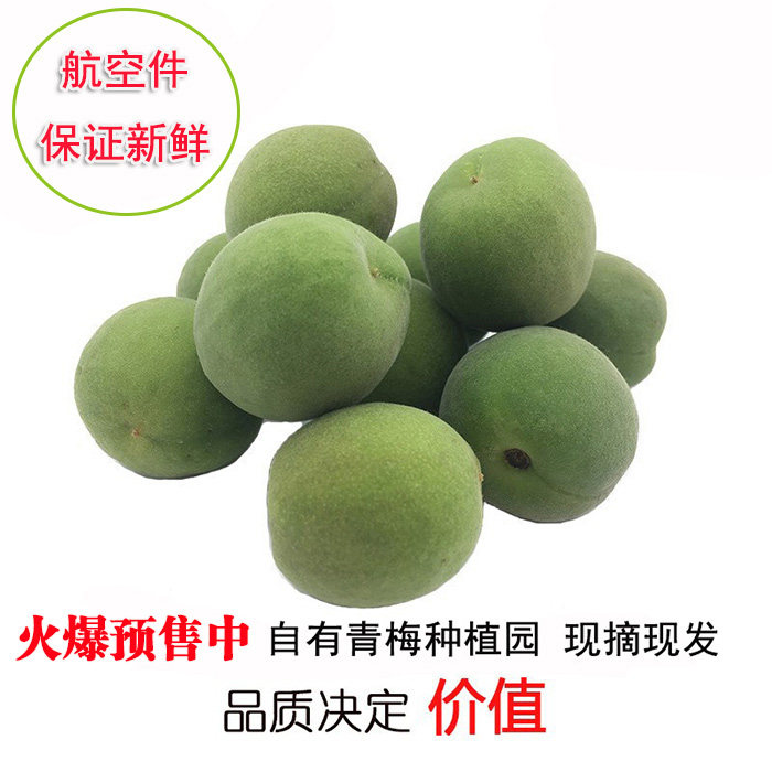 云南大理洱源新鲜青梅鲜果泡梅子酒顺丰包邮梅王特大果5斤精品梅