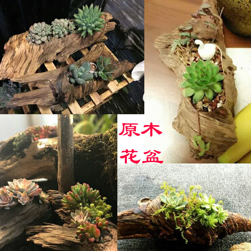 闽瓷缘 多肉花盆树根花盆木头花盆多肉植物盆栽枯木朽木多肉花器在类目 鲜花速递/花卉仿真/绿植园艺, 花瓶/花器/花盆/花架（新）, 花盆中 - 来自Buy2taobao.com提供专业的淘宝代购服务