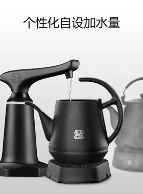 吉谷电器抽水器可配直饮水和净水器TX07流冕