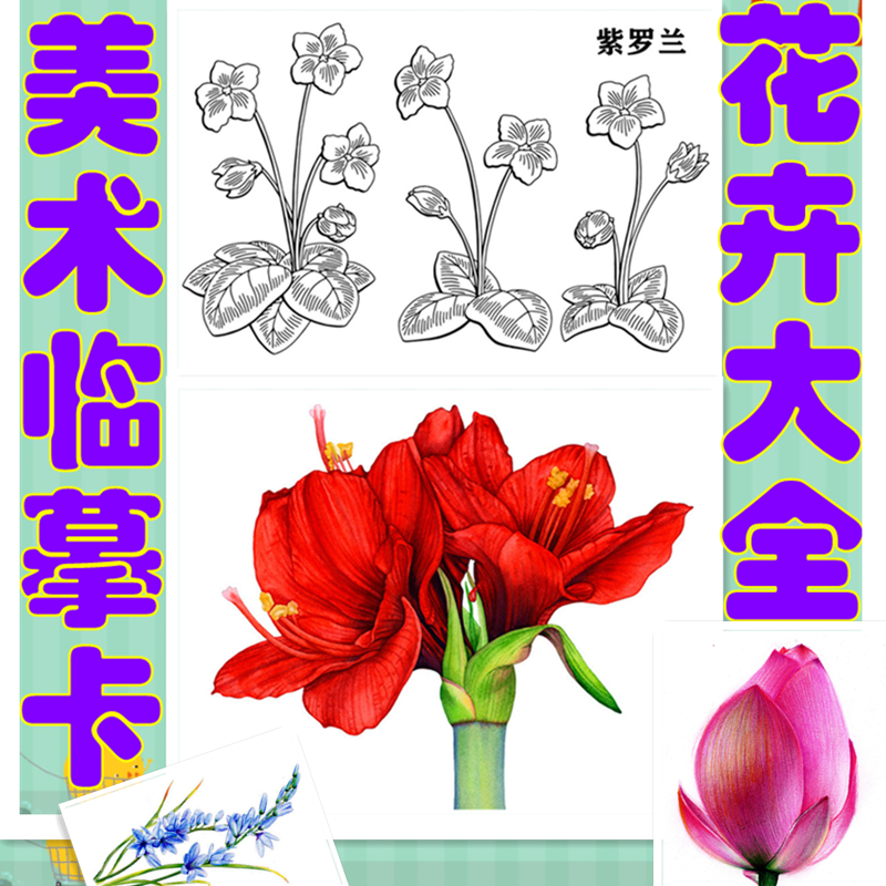 集合-美术创意临摹卡片手绘范画几年线描彩铅水彩花卉花朵画室用