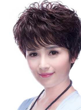 全手工头套卡瑞丝气质真人发丝
