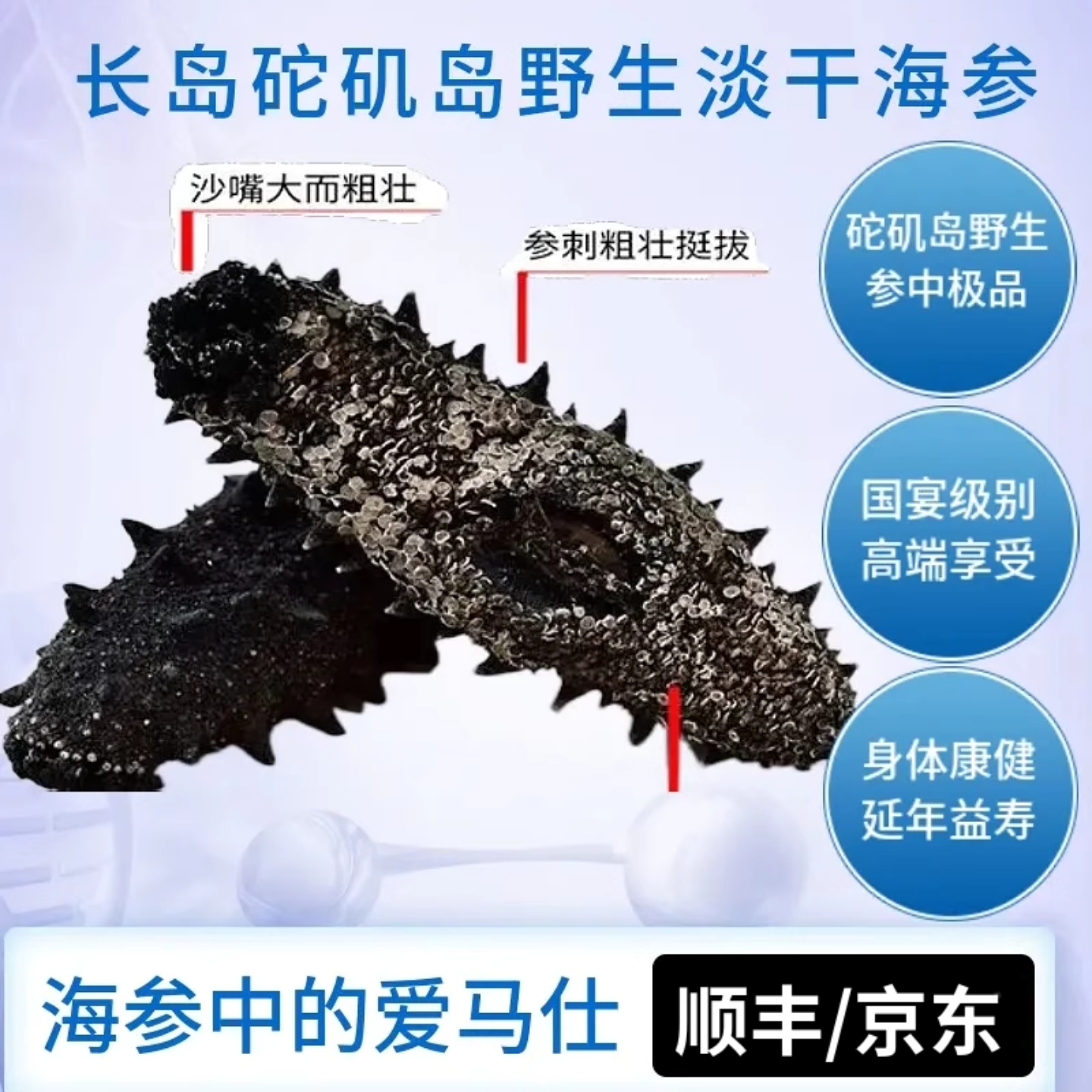 【顺丰】烟台特产礼盒装高端长岛砣矶岛野生淡干海参高泡发率滋补