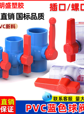 PVC蓝色球阀阀门开关水管螺口接头弯头配件20 25 32 40 50 75透明