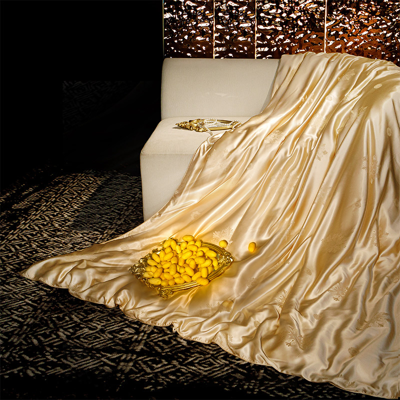 出口德国黄金丝蚕丝被芯全真丝100桑蚕丝春秋被夏凉被四季冬被子,床上用品,蚕丝被,淘宝优惠券,粉丝福利购,淘宝优惠卷