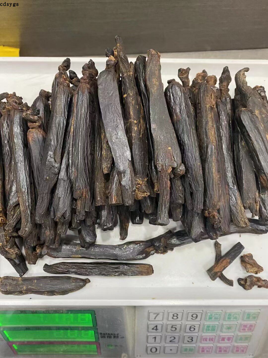 高丽黑参