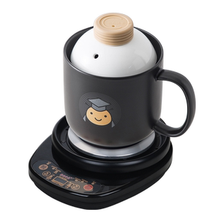 陶瓷熬粥煲汤煮面锅养生电炖杯壶办公室小号加热水杯电热杯煮茶器