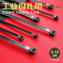 自锁式尼龙扎带卡扣强力大号勒累死狗捆绑塑料扎线带金星黑色扎带