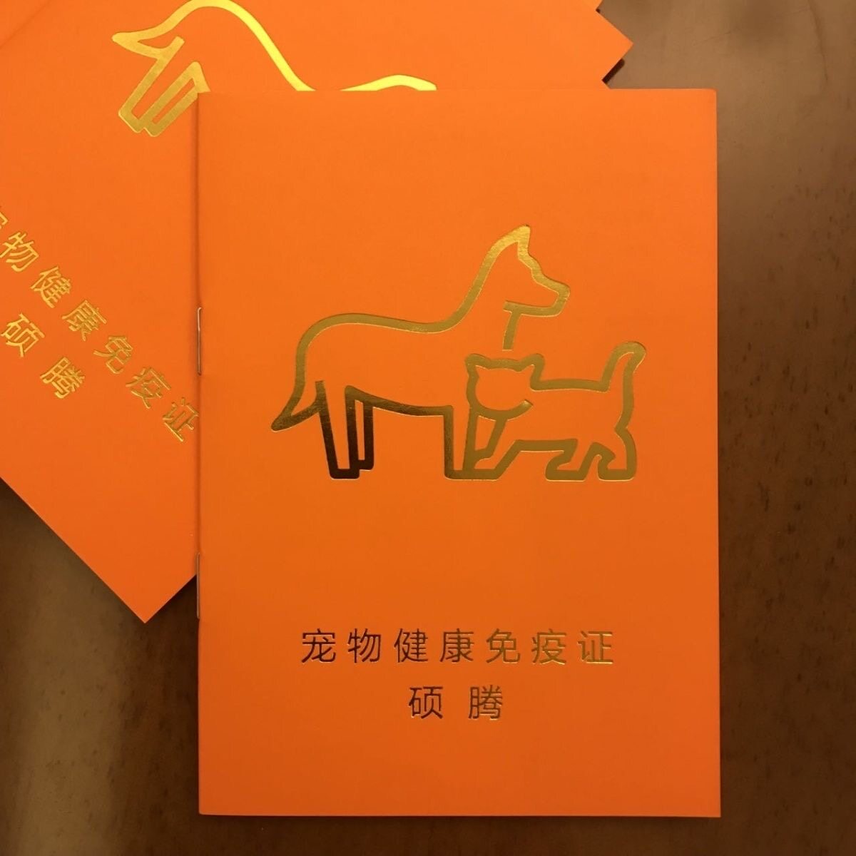 疫苗本宠物健康登记驱虫体检记录免疫本狗狗猫咪宠物疫苗本通用贴图片