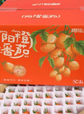 樱茄小P 阳橙番茄 阳光沙地电白小番茄4斤2斤装露天种橙色小柿子