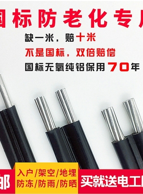 户外2芯铝芯电线4/6/10/16/25/35平方室外架空防老化电缆家用铝线