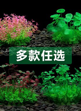 水族箱仿真塑料水草仿真水草