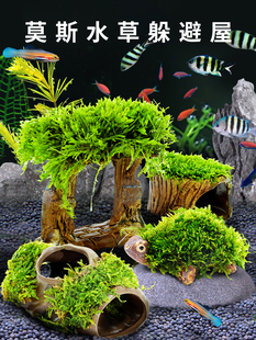 鱼缸水草造景莫斯水草懒人真植物鱼虾躲避罐虾屋小摆件小鱼躲避屋