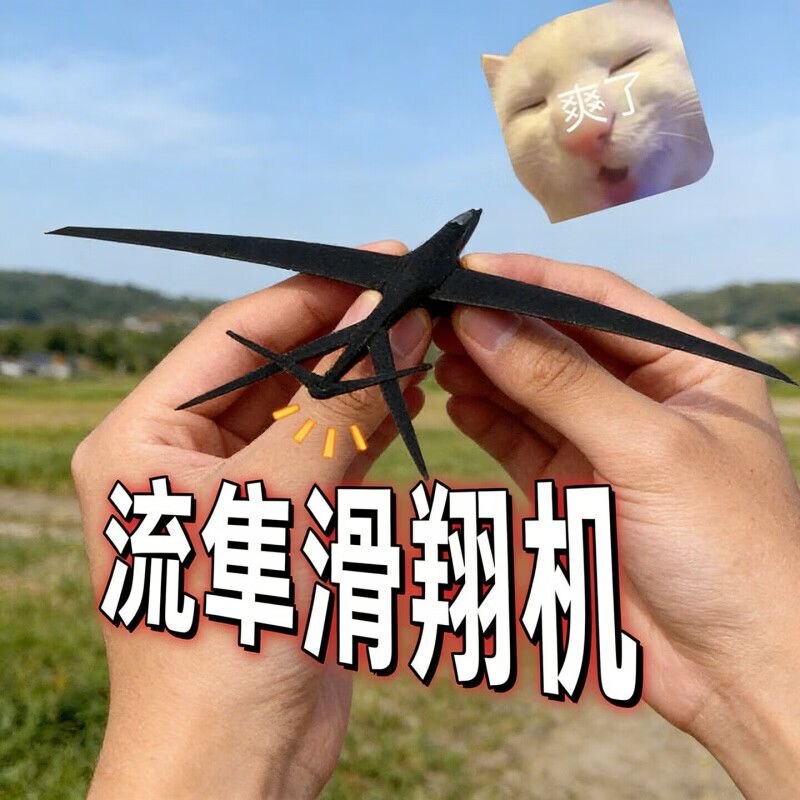 儿童手抛滑翔机3d打印耐摔航模户外飞行玩具流隼多翼