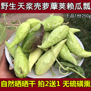 新鲜天将壳萝藦果实萝摩荚哈喇瓢赖瓜瓢羊角剌猬瓜野羊角瓜瓜瓢
