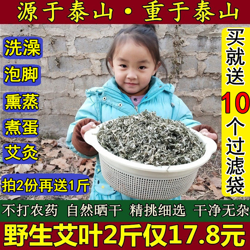 山东泰山野生艾叶艾蒿家艾香