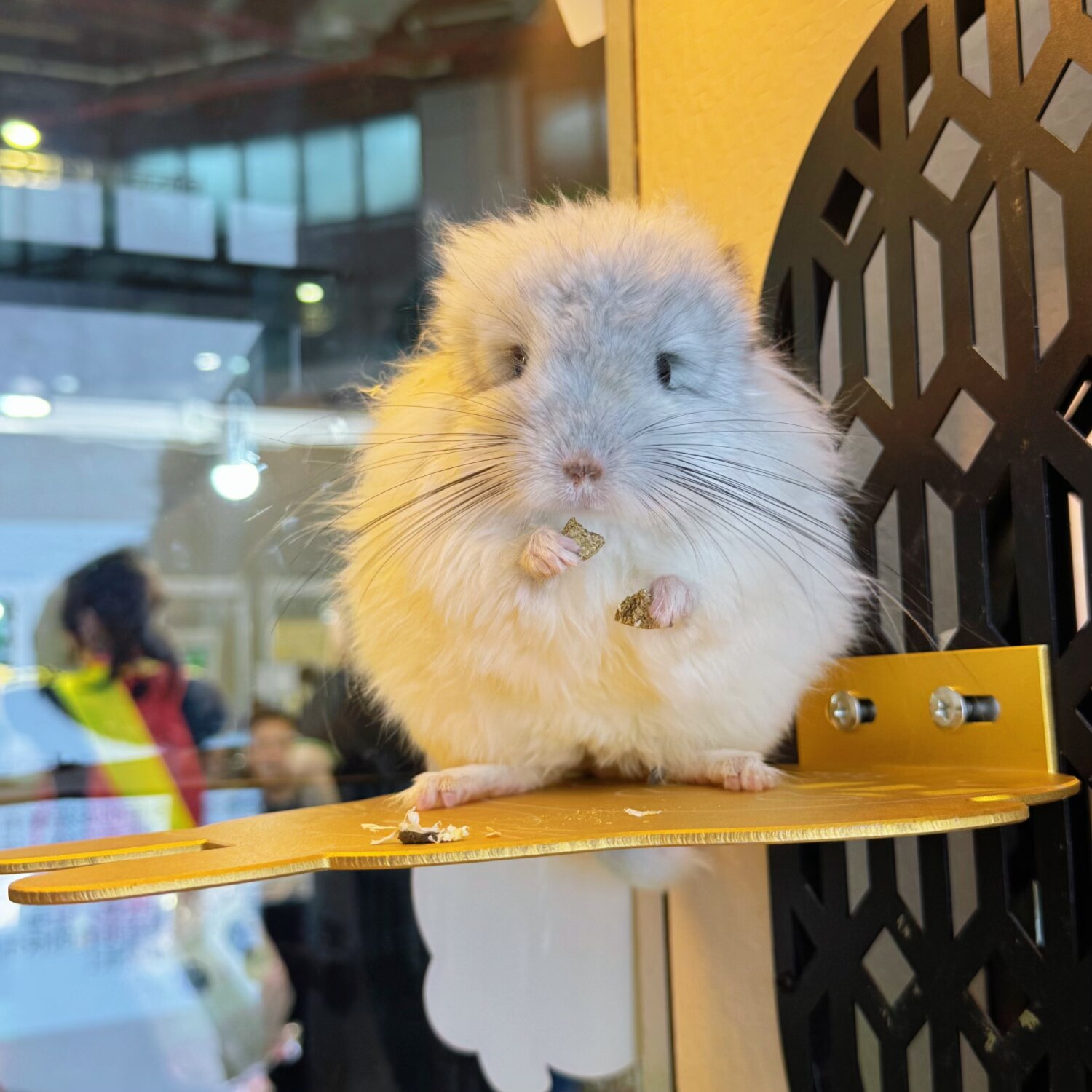 小宠夏日降温消暑散热合金跳板龙猫造型跳台 激光雕刻 多色可选