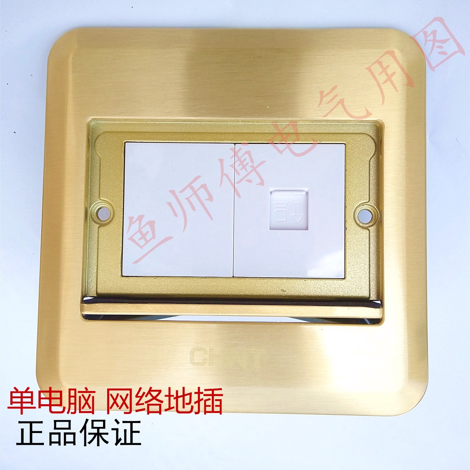 正泰正品防水网络地插 电脑 网线地插 插座地板插 五类六类
