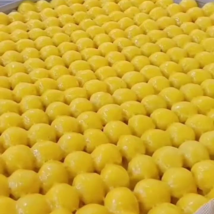 内蒙古赤峰市大黄米粘豆包