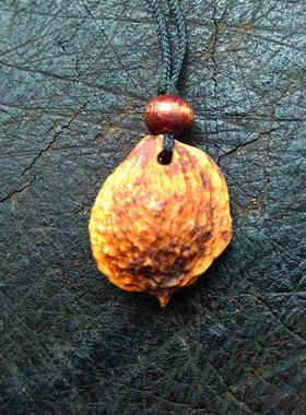 山灵核暴老山果核手工打磨制作的护身项坠吊坠趋吉避凶法器孤品