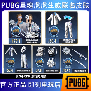 PUBG绝地求生星魂联名皮肤套装 虎虎生威超级大礼包吃鸡CDK激活码