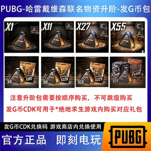 PUBG 哈雷戴维森  物资箱绝地求生吃鸡工坊升级代币CDK【G币包】