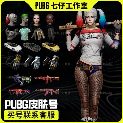 PUBG绝地求生500级成品皮肤号