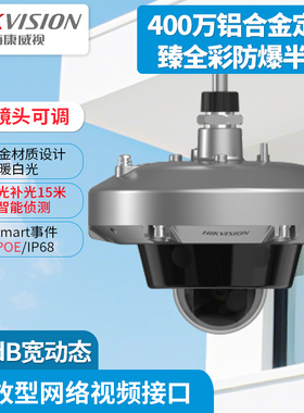 DS-2XE3145FWD-L 400万臻全彩铝合金定焦防爆半球摄像机3125FWD-L