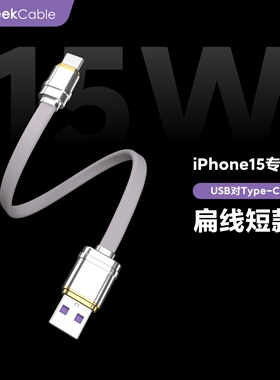 GeekCable汽车车载充电宝适用于苹果iPhone17/16系列CarPlay车载硅胶面条扁线15W慢充