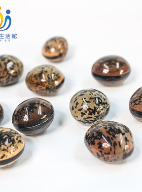 天然种子儿童玩具过家家