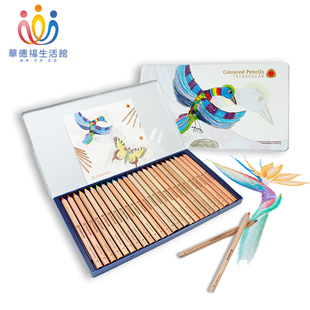 华德福生活馆史都曼Stockmar学生绘画彩色三角彩铅笔24+1色铁盒装