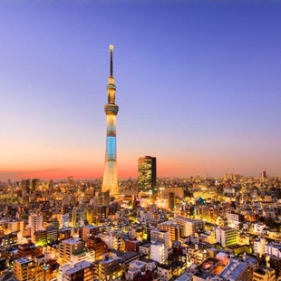 日语打电话预定餐厅酒店日本问询翻译口译预约失物找回 快速解决