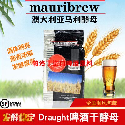 澳洲Draught英式艾尔啤酒酵母 清澈花香果味酯香啤酒酵母