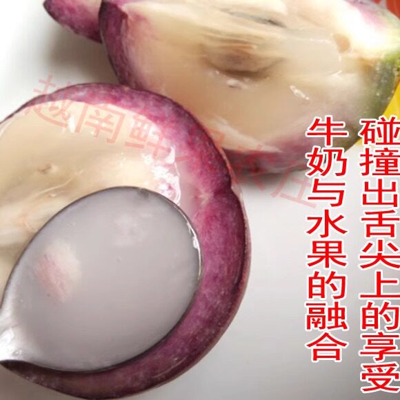 越南品种牛奶果热带新鲜水果金星果星苹果宝宝孕妇月子果多省包邮