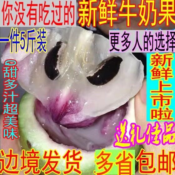 越南品种牛奶果热带新鲜水果金星果星苹果宝宝孕妇月子果多省包邮,水产肉类/新鲜蔬果/熟食,其它,淘宝优惠券,粉丝福利购,淘宝优惠卷