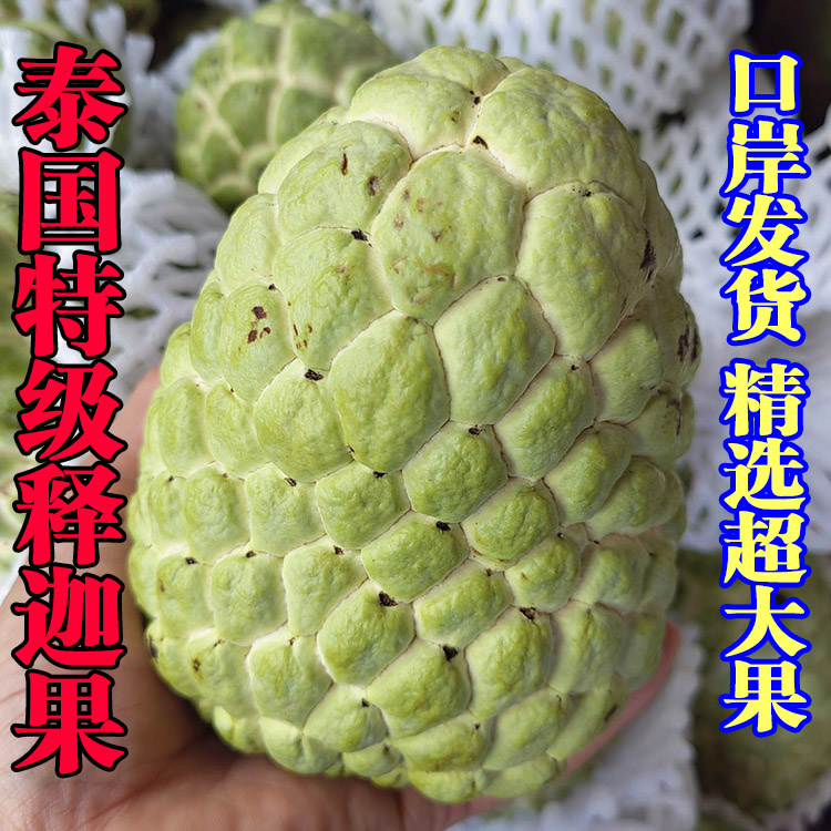 泰国大目释迦果超级大果牛奶释迦