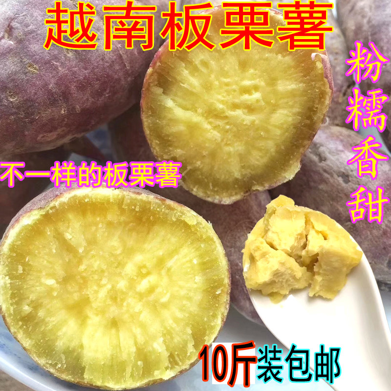 越南进口板栗红薯五星级粉甜红薯